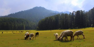 khajjiar