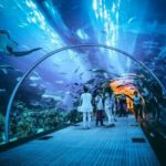 Dubai aquarium