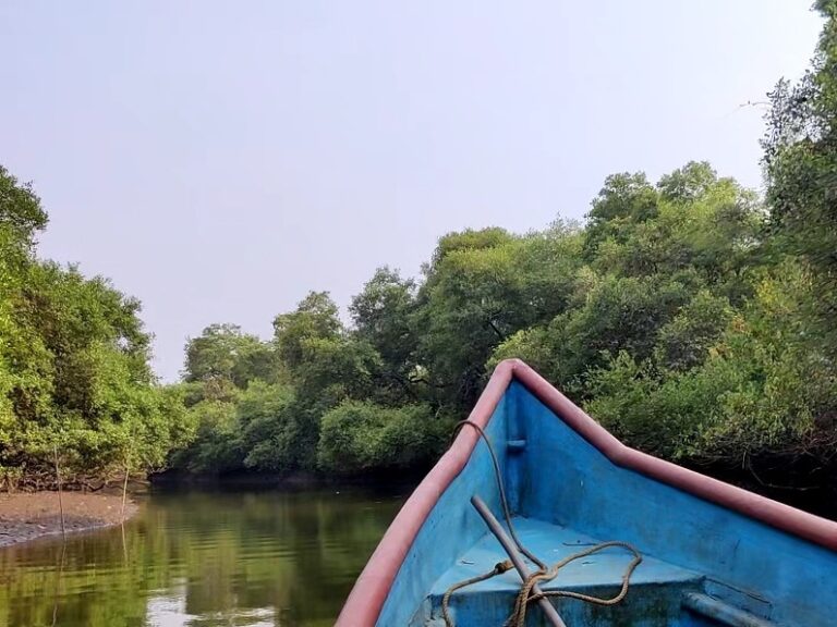 The beauty of Chorao island : Goa's best kept secret